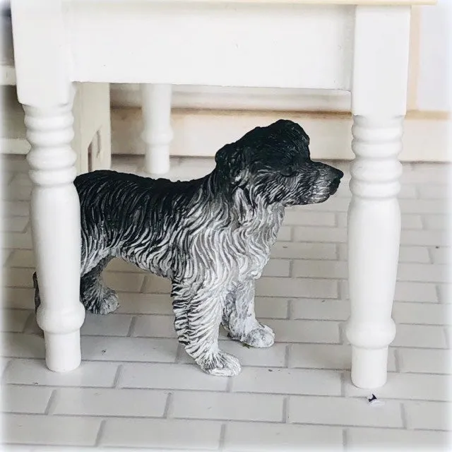 Border Collie - Miniature