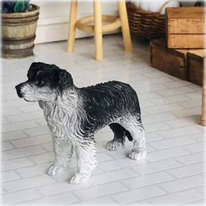 Border Collie - Miniature